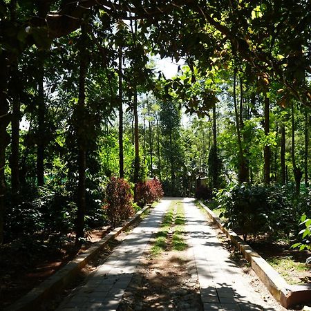 Silver Springs Homestay Chickmagalur Chikmagalur Exterior photo